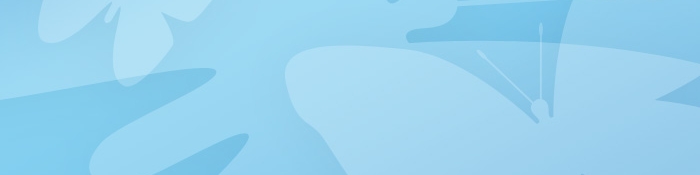 Vorlage Banner